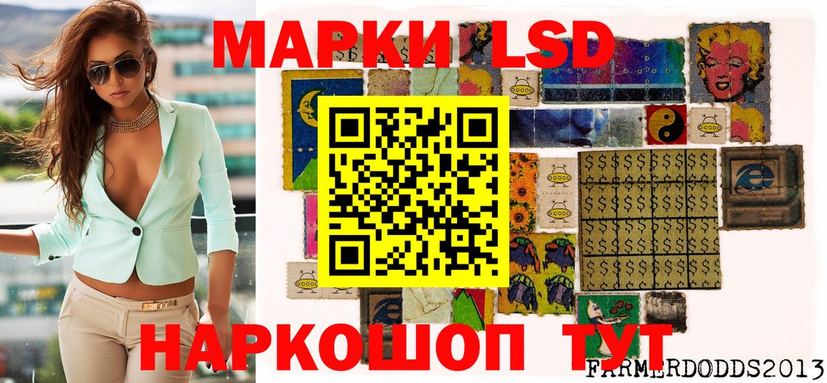 Сунжа  Наркотические марки 1,5мг  Вход с VPN  Наркотические марки 1,5мг 