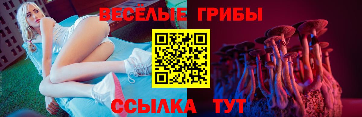 Псилоцибиновые грибы GOLDEN TEACHER  Галлюциногенные грибы мицелий  Вход с VPN  купить наркотики сайты  Сунжа 